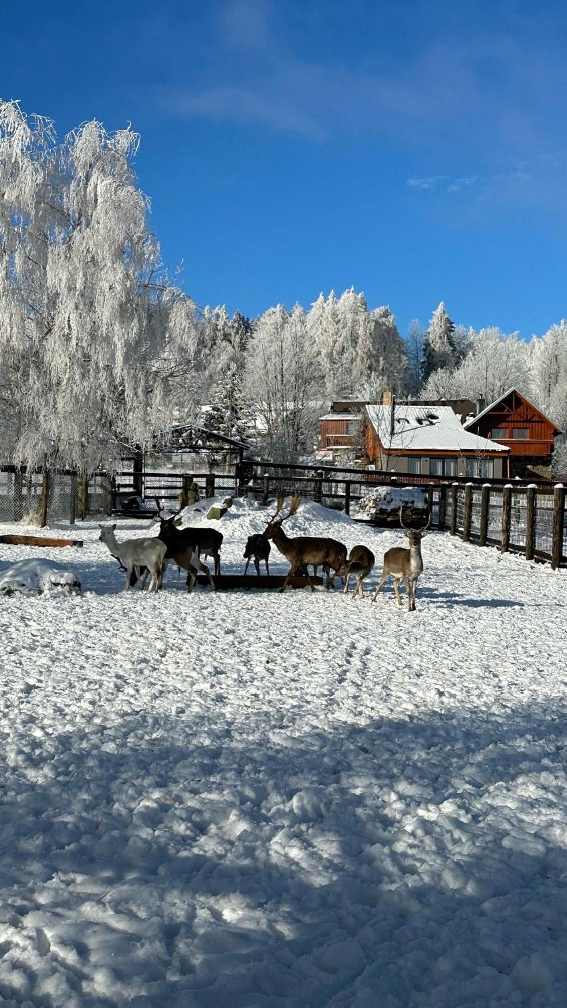 Hotel Farma Frantisek Stachy Esterno foto
