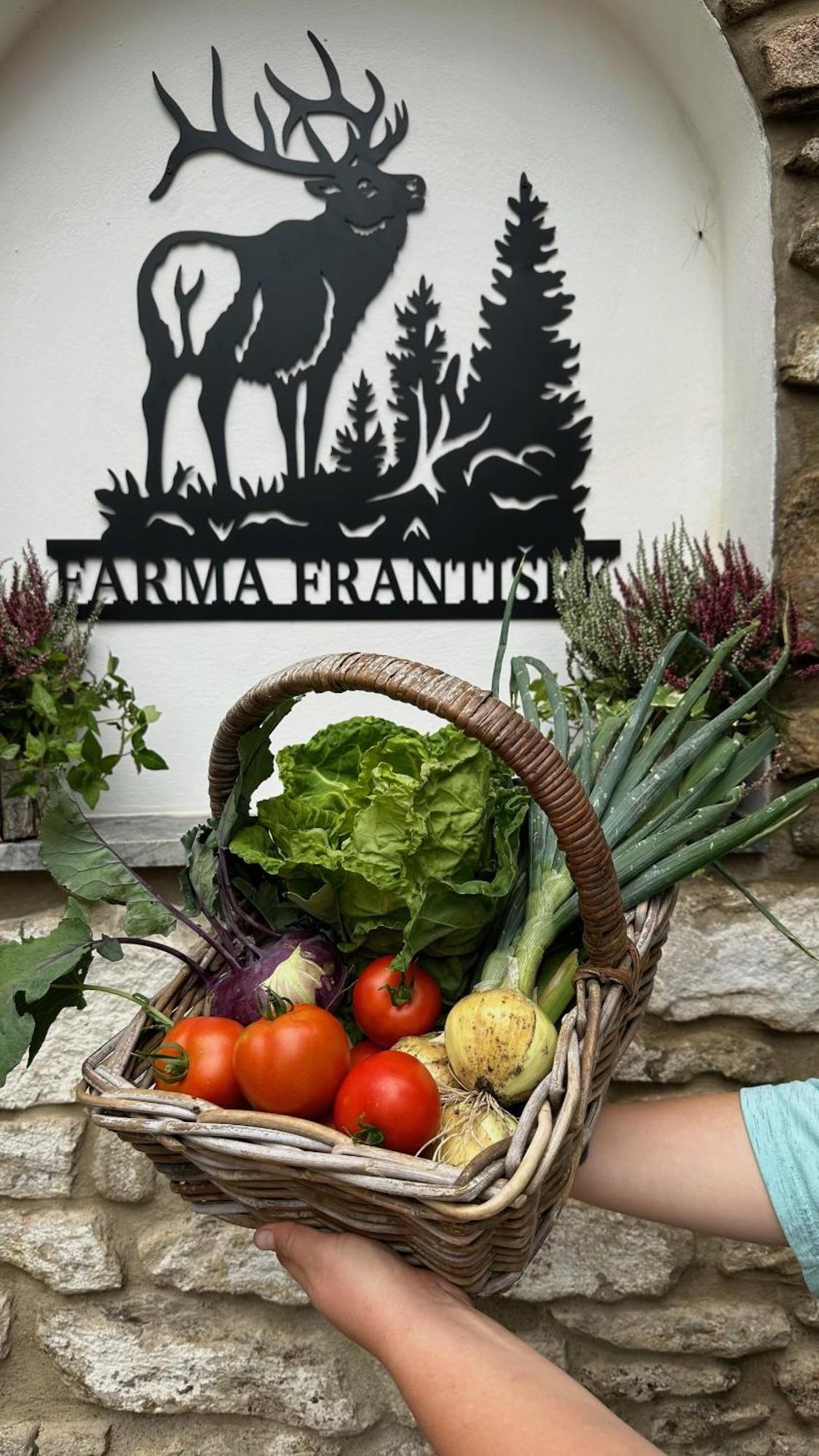 Hotel Farma Frantisek Stachy Esterno foto